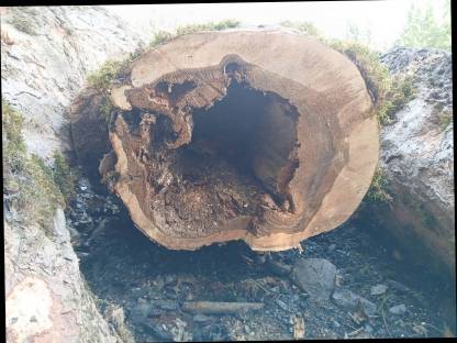 Bild 2:Ahornholz Epoxidharztische