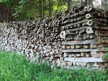 Brennholz Fichte zu verkaufen