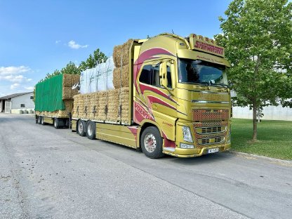 Bild 3:Stroh-Pellets