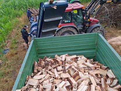 Brennholz