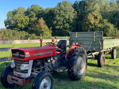 Massey Ferguson 135
