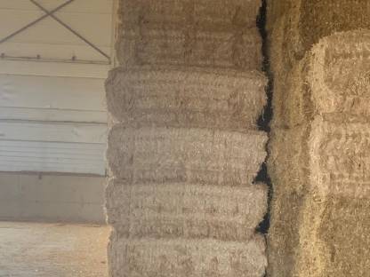 Bild 6:Luzernesilageballen