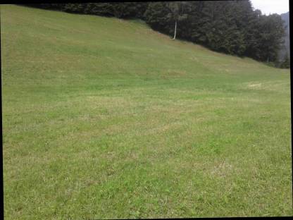 Bild 2:Einstellplatz mit Weide