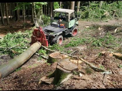 Bild 5:Forst-Service und Brennholz