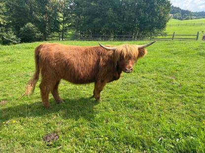Bild 2:Melita vom Kaiserhof