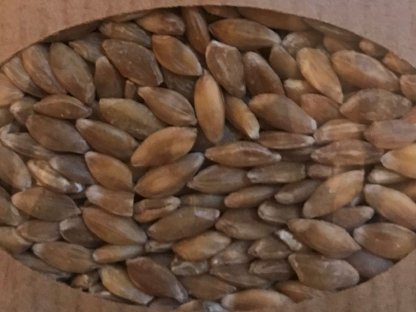 Bild 4:Bio-Ware zu verkaufen