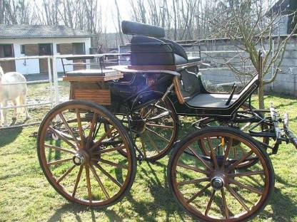 Bild 5:Marathonwagen und Dressurkutsche