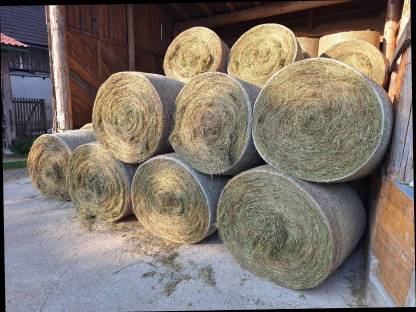 Bild 2:Bio-Grummetballen 2. Schnitt