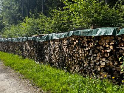 Brennholz (hart) zu verkaufen