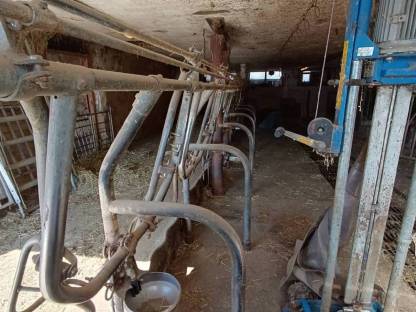 Bild 4:Aufstallung selbstfangend für 10 Bio-Rinder