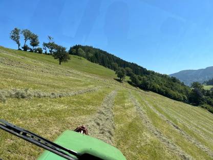 Bild 4:BIO Pferdeheu Heurundballen