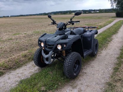 Bild 3:Quad Dinli 450R