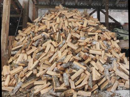 Bild 2:Brennholz
