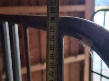 Bild 4:Rollwagen, Kommissionierwagen, Gitterwagen