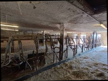 Bild 6:Aufstallung selbstfangend für 10 Bio-Rinder