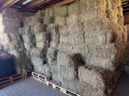 Bild 3:BIO-Heu u. BIO-Grummet