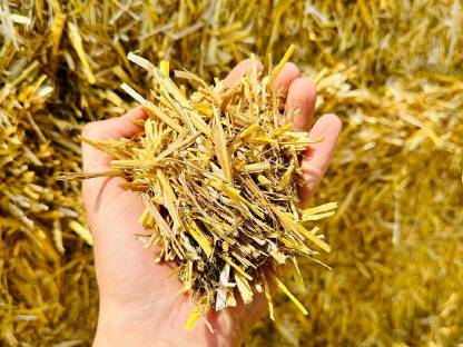 Bild 3:Stroh in Quaderballen