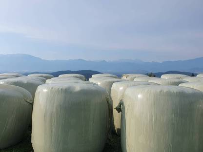 Maissilageballen