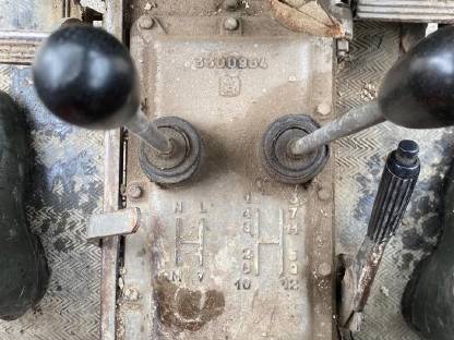 Bild 4:Brennholz Buche, Esche