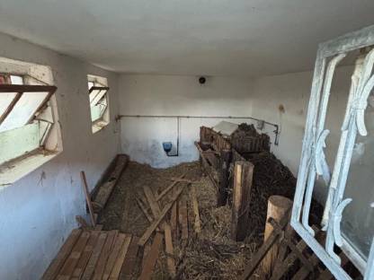 Bild 5:Weidefläche in Wolfau