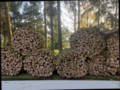 Bild 4:Brennholz