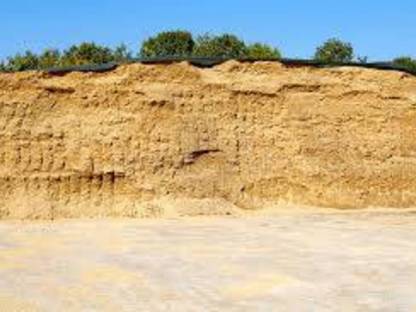 Maissilage zu verkaufen