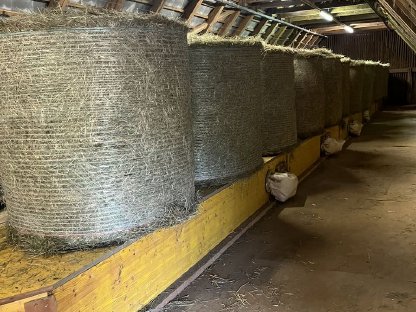 Bild 2:Belüftetes Heu in Rundballen