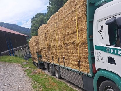 Stroh, Heu, Grumet, Silageballen, Maissilageballen