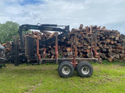 Bild 3:Rückewagen 12 t Kotschenreuther