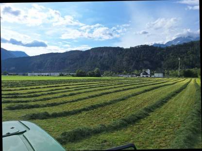 Bild 2:Siloballen, Silomaisballen