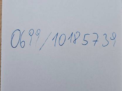 Bild 6:Kune Kune Schweine