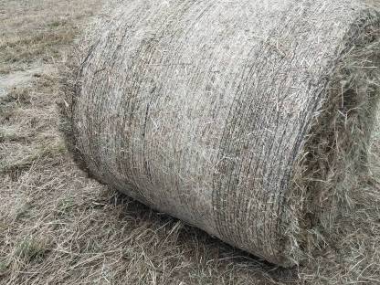 Heuballen 2. Schnitt