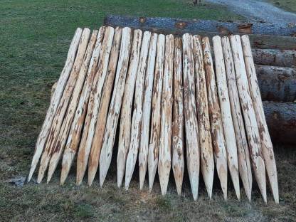 Bild 2:Haagsäulen, Lärchenstiefel, Zaunsteher, Baumschutz