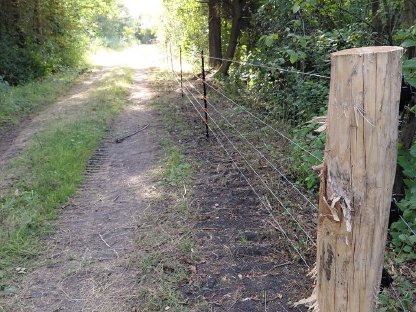 Bild 4:Weideplätze für Schafe und Ziegen - OÖ Zentralraum