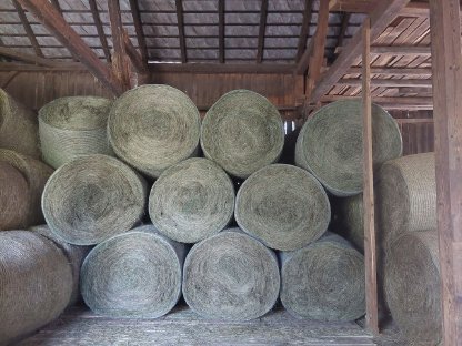 Bild 4:Heuballen Grummet 2025