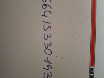 Bild 4:Steyr 9094 MWM