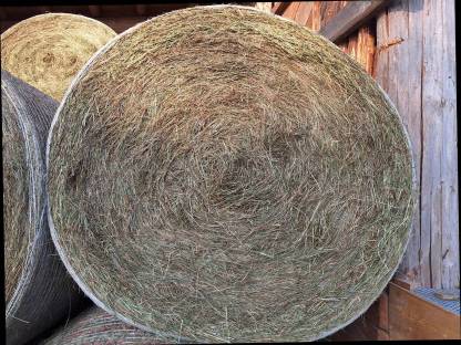 Bio-Grummetballen 2. Schnitt