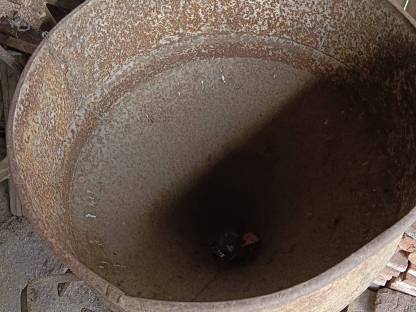 Bild 3:Alter Düngestreuer, Streuer