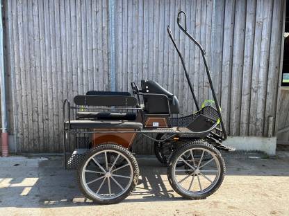 Bild 2:Trainingswagen, Freizeitkutsche