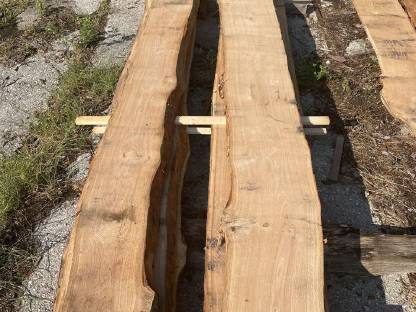 Bild 6:Eichenholz Schnittware, 30, 50 mm