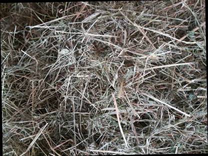 Bild 2:Bioheu Lüfterheu