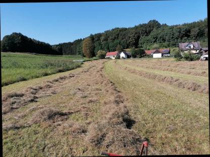 Bild 2:Heu 1. Schnitt 2025 und 2024