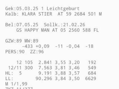 Bild 3:Verkauf Bio Kuhkalb