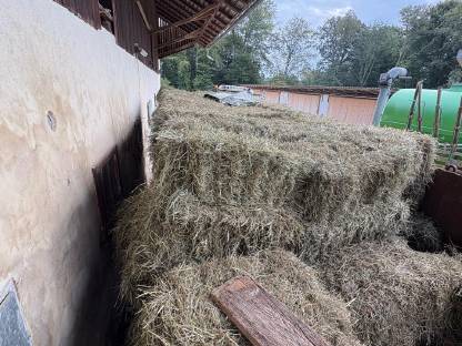 Bild 2:Heu Kleinballen