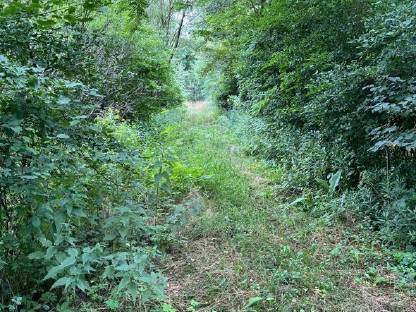 Bild 8:Mulch- und Böschungsmulcharbeiten, Forstfreischnitt