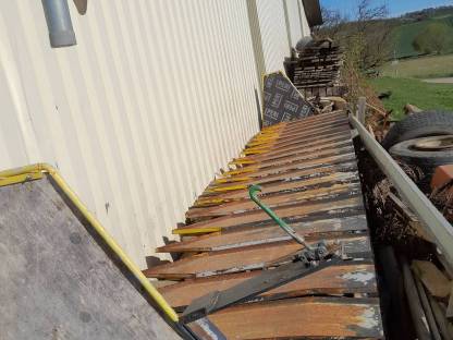 Bild 2:Sonnenblumen Schifferl