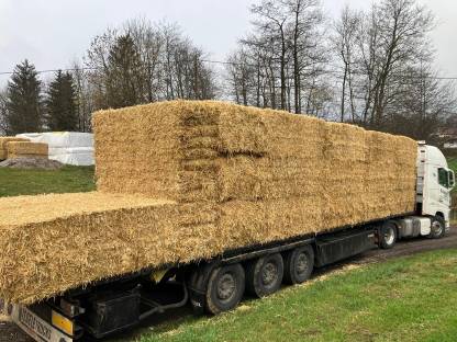 Bild 5:Gerstenstroh und Weizenstroh