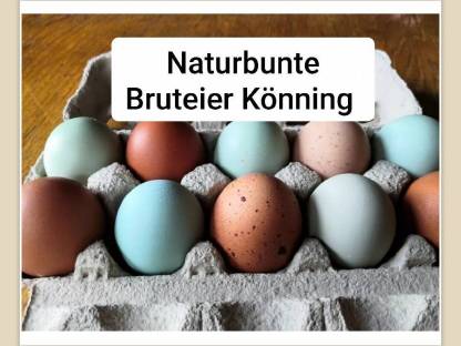 Bild 2:Bunte Bruteier 10 + 2 Gratis € 17,- Easteregger Eier
