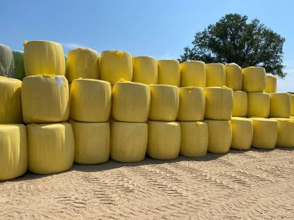 Bild 2:Heulage Rundballen, Pferdeheulage, Rinderfutter Rinderheulage