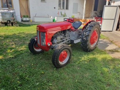 Bild 2:Ferguson TEF 20 (1955) – Top restauriert & einsatzbereit